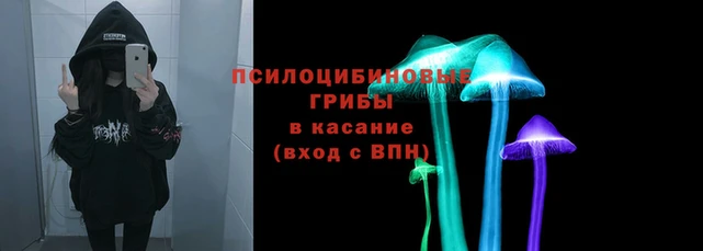 эйфоретик Кинешма