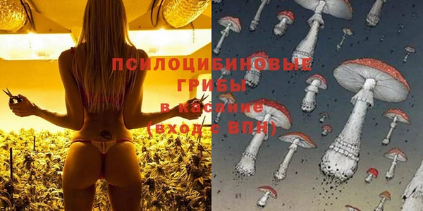 эйфоретик Кинешма