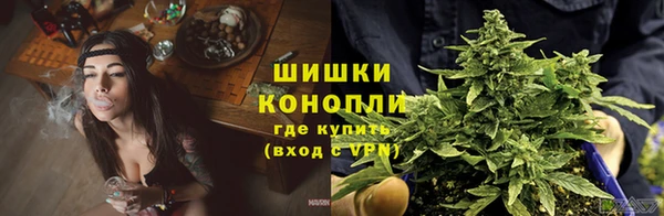 эйфоретик Кинешма