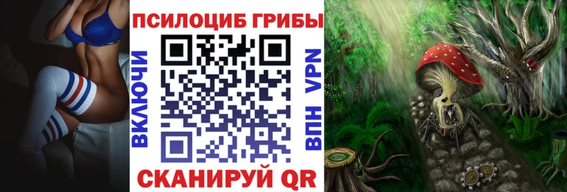 Купить закладки  Краснознаменск  Псилоцибиновые грибы MAGIC MUSHROOMS 